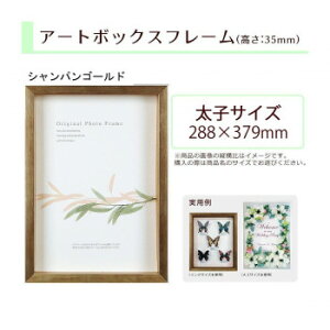 A.P.J. BOXt[ A[g{bNXt[(:35mm) qTCY(288×379mm) VpS[h 0021768573