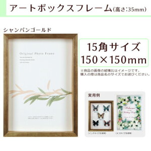 lC   ~ Ε Mtg NX}X v[g A.P.J. BOXt[ A[g{bNXt[(:35mm) 15pTCY(150×150mm) VpS[h 0021768597