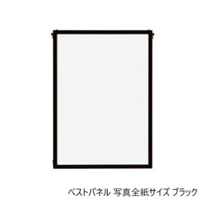 A.P.J. A~t[EA~pl xXgpl ʐ^STCY(430×540mm)@ubNE0020190024