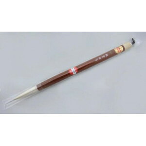 13060@h@Ϗܔni12×55mm/j@@rсEne