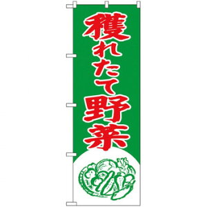 N̂ڂ 2247 nꂽĖ X pi H | ֘AP HXObY e[u}bg VK[|bg X܏Y AR[Xv[ I[_[p J[h 蔢 R[X^[ ĝėe 