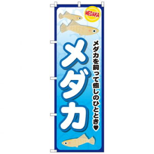 Ĝڂ GNB-2492 _J X pi H | ֘AP X܉oObY j[Ĕ ڋqpi R[X^[P[X Hi |X^[X^h zVc[ Xܒpi ēD j[X[u 