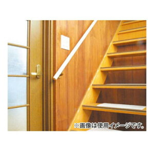 �ɂ� �l�C �������� ��� �~ �t �� �~ �V���� �M�t�g ���� �΍� �v���[���g 97299 �������ځ[3.6m ���C�g 1�g�� 00097299-001