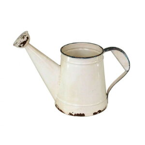 ɂ lC    ~ Ε Mtg NX}X v[g t[|bg@81790