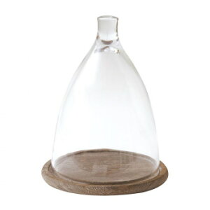 lC   ~ Ε Mtg NX}X v[g KXI[ig@82083