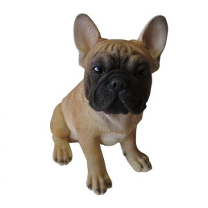 lC   ~ Ε Mtg NX}X v[g hbOI[ig(t`EuhbO)@14067