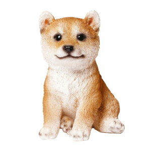 lC   ~ Ε Mtg NX}X v[g hbOI[ig(Vo)@14076