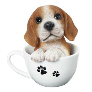 lC   ~ Ε Mtg NX}X v[g hbOI[ig(r[O)@14082