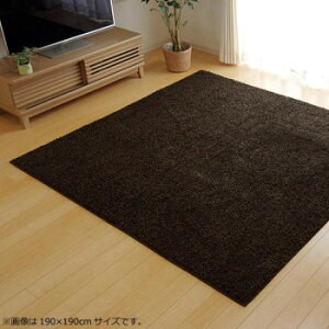 O J[ybg wV[[x uE 190×190cm 4722279 CeA | ֘AP e[u `FA O NbV \t@ xbh ϗtA ؐ i` _ k ؍ J[e 