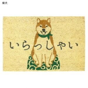 lC   ~ Ε Mtg NX}X v[g RC[}bg 60×40cm Č 12618092002