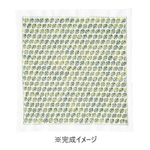 lC   ~ Ε Mtg NX}X v[g IpX hqLbg Ԃӂ [t SK-377