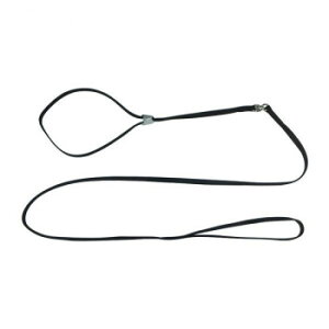 pP[h ^p \tgV[[h S  ybg  L Lbg hbN | ֘AP ACfBA ֗ ACfBAObY hbOEFA Z ~j ^ 킢 ŐV ^ 