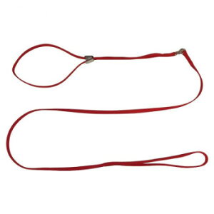 pP[h ^p \tgV[[h S  ybg  L Lbg hbN | ֘AP ʔ Ϗ ANAE ACfAi ybgTv gC Lbg^[ lC   