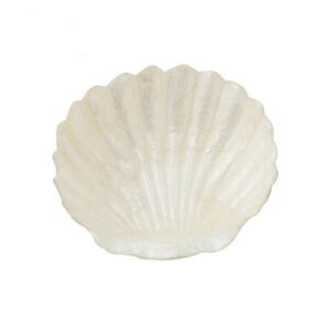 JsXVF{E 19516810021   Lb` | ֘AP ֗ Z  g VՂ g P[L NbL[ ^  Ă^ َq Č^ gO w  XCT[ Jbv iC