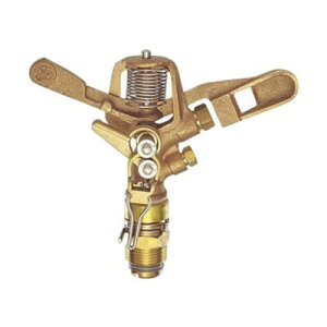 Oh SANEI p[gT[NXvN[㕔 C56F-20