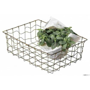 C[oXPbg AeB[Ndグ 55-45