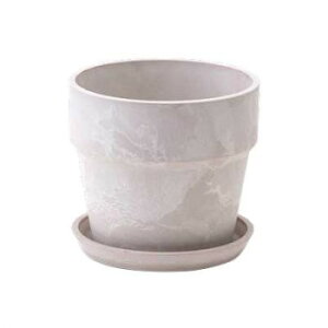 ɂ lC    ~ Ε Mtg NX}X v[g A[ovc|bg \bh ~N 80998