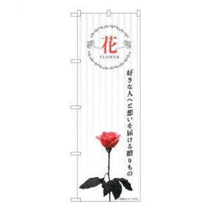 N̂ڂ@ DȐl֑z KMN@W600×H1800mm@81807 X pi H | ֘AP HXObY e[u}bg VK[|bg X܏Y AR[Xv[ I[_[p J[h 蔢 