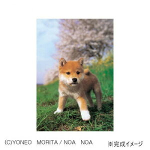 ̂܂ WO\[pY ybg ڂA΂!01-2071 Q[  { | ֘AP bN fBXvC Zbg ߋ 1 wK  X^v J[h c gJ 3 G{ pY 4 m