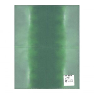 lC   ~ Ε Mtg NX}X v[g a(L)@480×310mm@10 I-540 1 Zbg