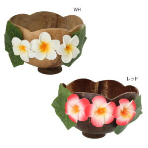 RRic{E [tvA@WHE10220810266   Lb` | ֘AP ACfA i ٓ ObY ACfBA W[T[ ~LT[ ֗ Z  g VՂ g P[L 