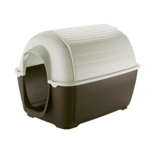 t@[vXg pnEX Pj[MINI 87199921 ybg  L Lbg hbN | ֘AP ACfBA ֗ ACfBAObY hbOEFA Z ~j ^ 킢 ŐV ^ ybg