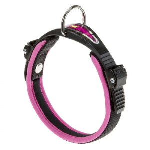 t@[vXg GSRtH[gtI C25/51 p lIsN 75448316 ybg  L Lbg hbN | ֘AP ^ Lpi @\ Q[W V[c LgC  p ʔ 