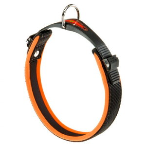 t@[vXg GSRtH[gtI C25/51 p lIIW 75448339 ybg  L Lbg hbN | ֘AP ^ Lpi @\ Q[W V[c LgC  p ʔ