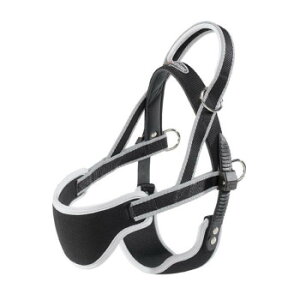 t@[vXg GSRtH[g mfBbN 3 p⏕n[lX O[ 75468021 ybg  L Lbg hbN | ֘AP ʔ Ϗ ANAE ACfAi ybgTv gC 