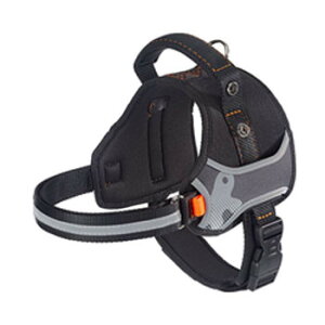 t@[vXg wNX pn[lX S ubN 75468217 ybg  L Lbg hbN | ֘AP  Mы ACfBA ֗ ACfBAObY hbOEFA Z ~j ^ 