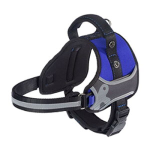 t@[vXg wNX pn[lX S u[ 75468225 ybg  L Lbg hbN | ֘AP ACfBA ֗ ACfBAObY hbOEFA Z ~j ^ 킢 ŐV 