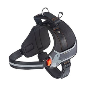 t@[vXg wNX pn[lX XL ubN 75468517 ybg  L Lbg hbN | ֘AP ACfBA ֗ ACfBAObY hbOEFA Z ~j ^ 킢 