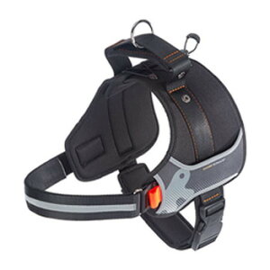 t@[vXg wNX pn[lX XXL ubN 75468547 ybg  L Lbg hbN | ֘AP ACfBA ֗ ACfBAObY hbOEFA Z ~j ^ 킢 