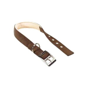 t@[vXg fCgi C20/43 p uE 75246912 ybg  L Lbg hbN | ֘AP ^ Lpi @\ Q[W V[c LgC  p ʔ Ϗ ANAE A