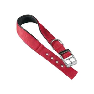 t@[vXg fCgi C30/55 p bh 75296022 ybg  L Lbg hbN | ֘AP ʔ Ϗ ANAE ACfAi ybgTv gC Lbg^[ lC  