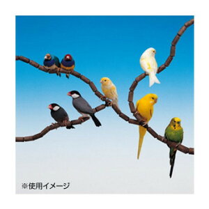 t@[vXg pgĎ~܂ tbNX 4190 79PCS 84190799 ybg  L Lbg hbN | ֘AP ʔ Ϗ ANAE ACfAi ybgTv gC Lbg^[ l