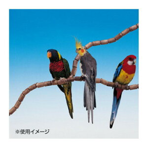 t@[vXg pgĎ~܂ tbNX 4192 79PCS 84192799 ybg  L Lbg hbN | ֘AP ACfAi ybgTv gC Lbg^[ lC    Mы 