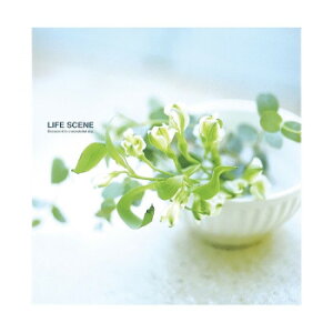 lC   ~ Ε Mtg NX}X v[g iJoV@fW^t[10R@CtV[@u[@LPF-1001-B