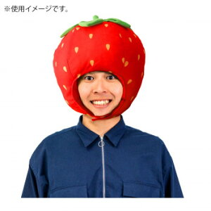 ɂ lC    ~ Ε Mtg NX}X v[g RX`[ JuX  087