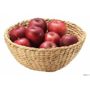 ][goXPbg HC-013NA Ƌ [ bN | ֘AP `FXg X`[bN Lb`bN V[YbN ߑP[X o[ S {I Lrlbg t[ ؐb