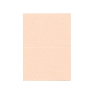 �ɂ� �l�C �������� ��� �������� �~ ���Ε� �M�t�g �N���X�}�X �v���[���g PAPER PALETTE(�y�[�p�[�p���b�g)�@A5�J�[�h�@�}�[���C�h�@���@100���@1347500