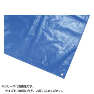 Llbg hJo[V[g 5.4×5.4m u[ 3000 11282