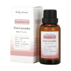 lC   ~ Ε Mtg NX}X v[g fC[A}Wp@GbZVIC@x_[@30ml@33651