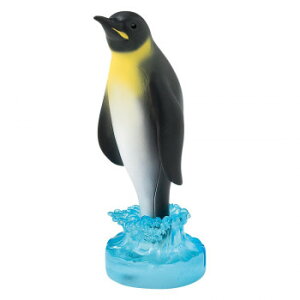 ZgNtg yX^h yM SR-5784 CeA | ֘AP G l炵 ؐ Vv ϗtA O \t@ k e[u `FA Ǌ| Xc[ ؍ NbV i`