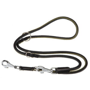 ferplast(t@[vXg) _[r[ [h GA12/200 ubN 75383704 ybg  L Lbg hbN | ֘AP ACfBA ֗ ACfBAObY hbOEFA Z ~j ^ 킢 