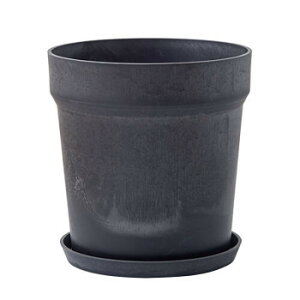 lC   ~ Ε Mtg NX}X v[g 81054 A[ovc|bg \bh `R[