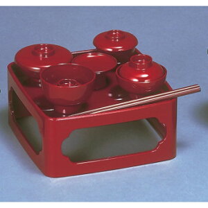 V 5.5  4307550800011