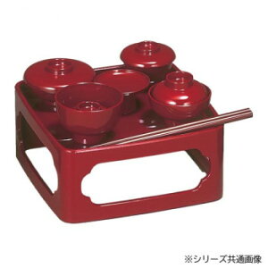 V 6.5  4307650800011