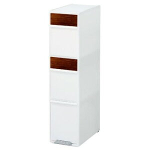 ʃXCOXe[V3i (ؖڒpl) BWP-12BSWS WzCg