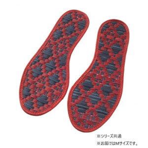 �����C���\�[�� �j���p M�T�C�Y RE �o�W���� �s�D�z�^�C�v 21-115-03 �C �V���[�Y �C�� �\�b�N�X | ������� �ʋΒʊw���� �����d���ɍœK �J�W���A������ �A�E�g�h�A �X�|�[�c�ϐ� �X���� �g��